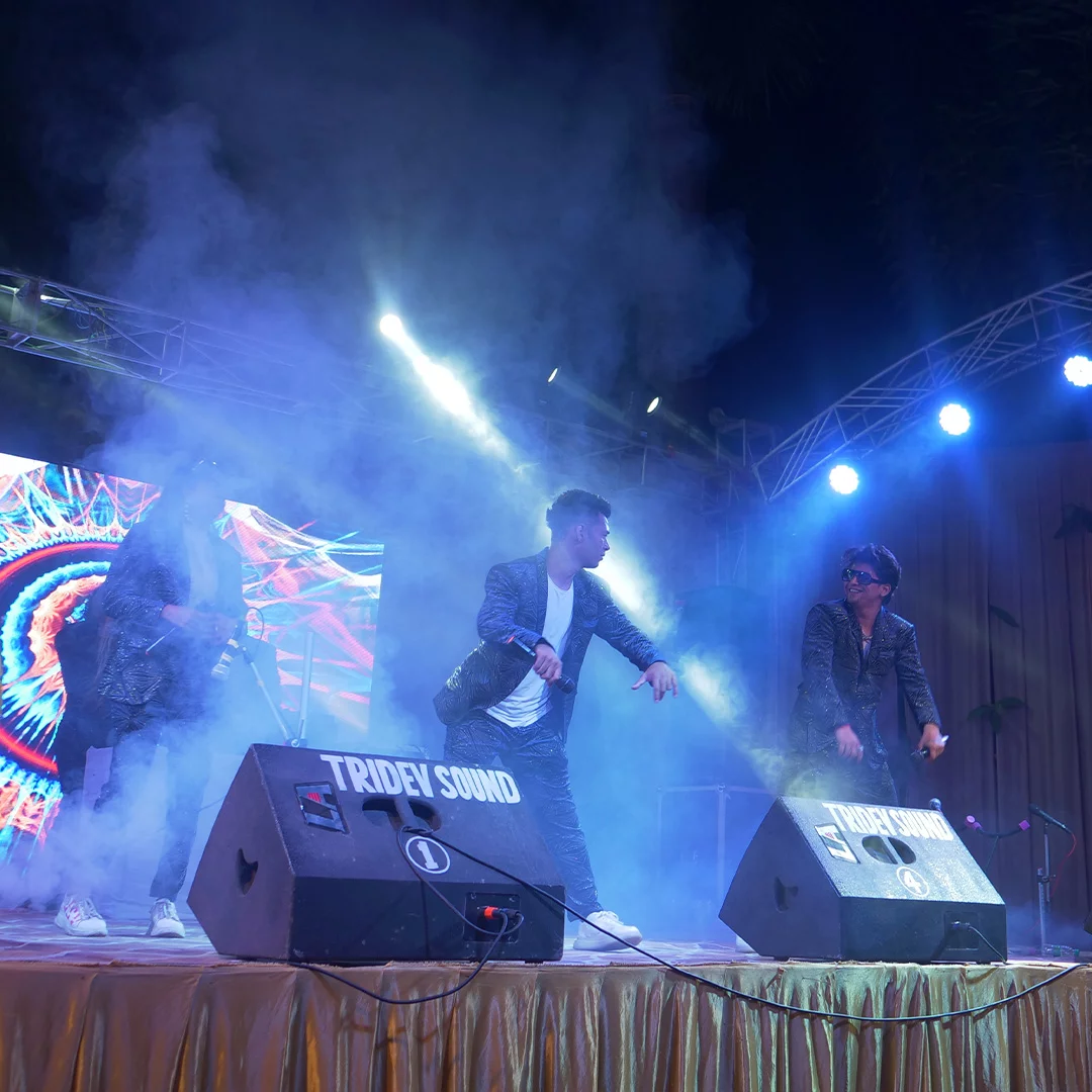 Gallery,music-and-art,music performance picture